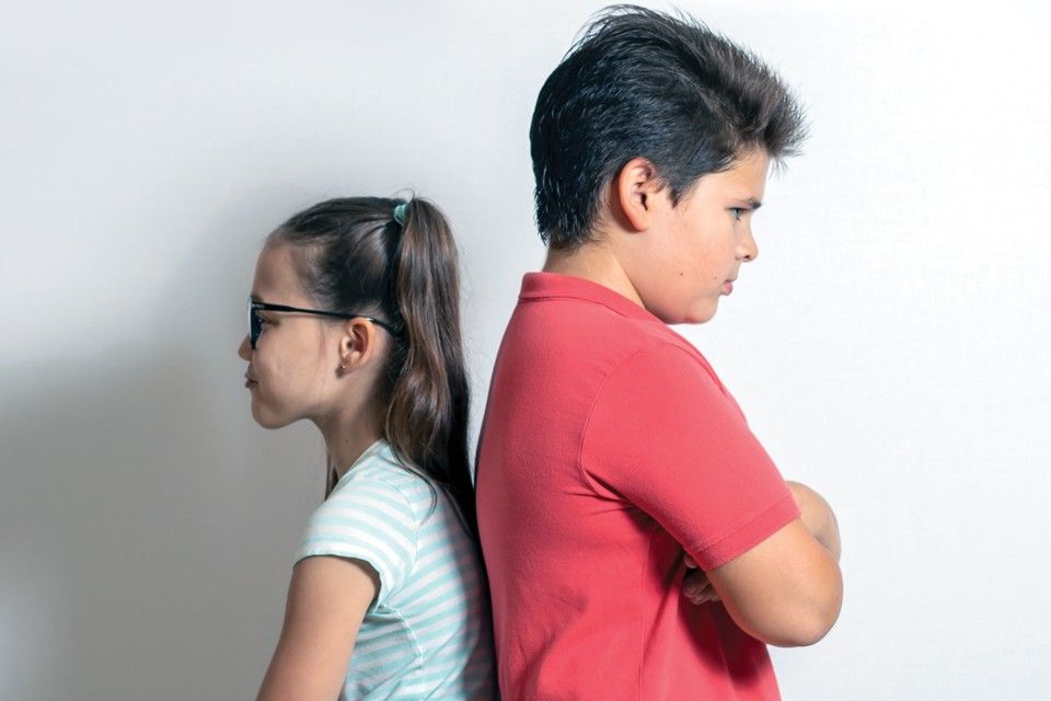 Sibling Support for Brothers and Sisters of Amputees