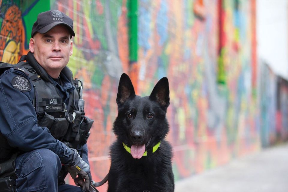Serve and Protect: Craig Tourangeau