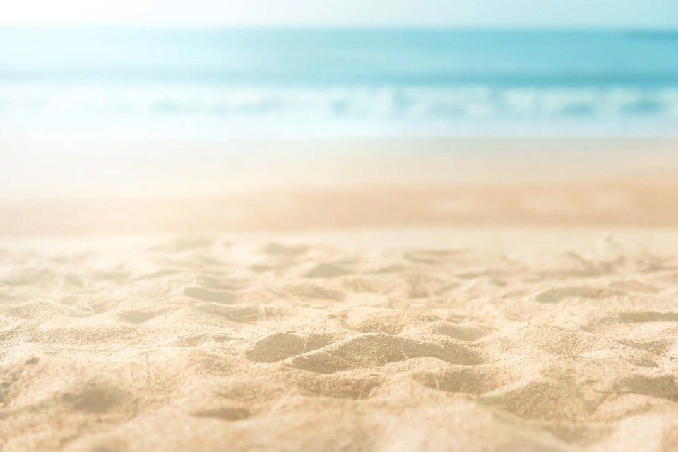 Locked Airtight with Coyote